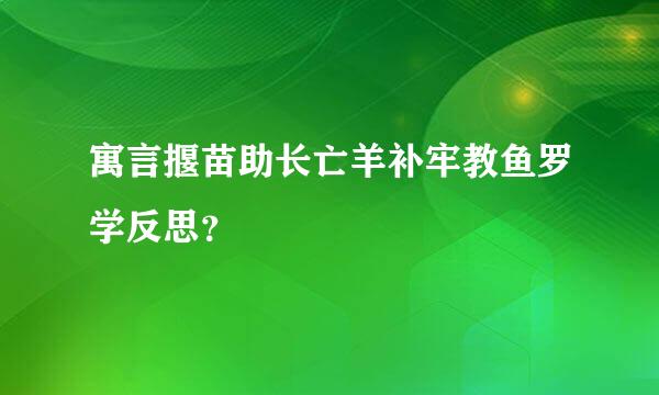 寓言揠苗助长亡羊补牢教鱼罗学反思？