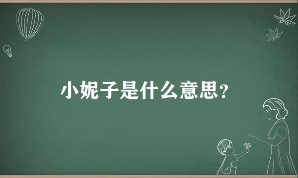 小妮子是什么意思？