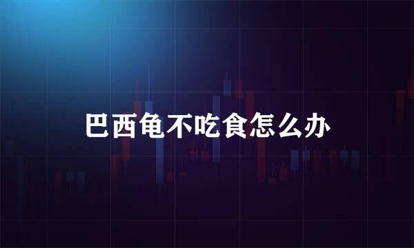 巴西龟不吃食怎么办