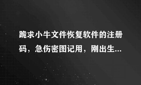 跪求小牛文件恢复软件的注册码，急伤密图记用，刚出生的宝宝所有照片和视频都被误来自删了，哭死了