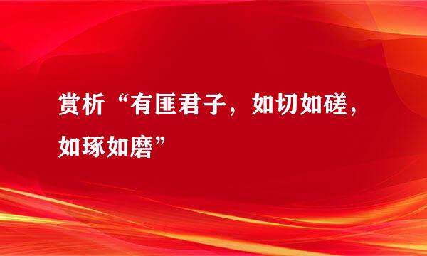 赏析“有匪君子，如切如磋，如琢如磨”