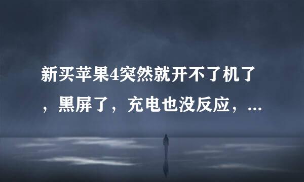 新买苹果4突然就开不了机了，黑屏了，充电也没反应，是怎么回事?
