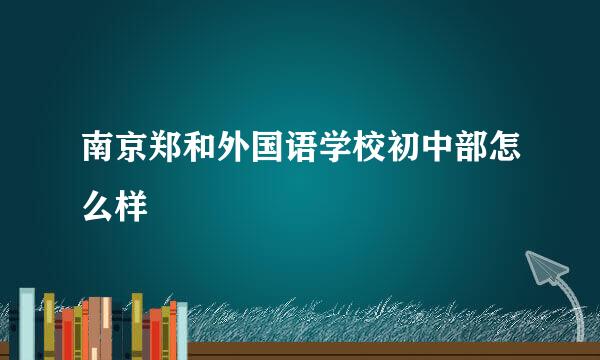 南京郑和外国语学校初中部怎么样
