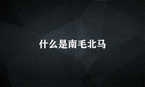 什么是南毛北马