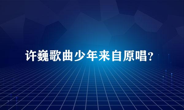许巍歌曲少年来自原唱？