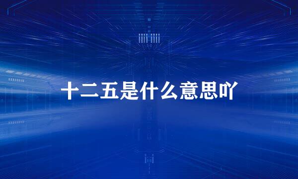十二五是什么意思吖