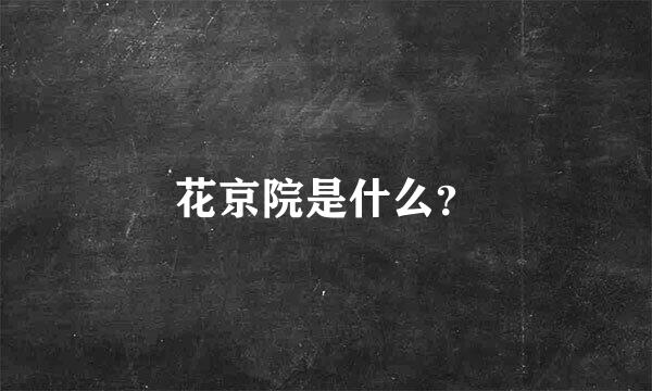 花京院是什么？