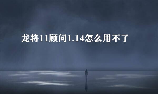 龙将11顾问1.14怎么用不了