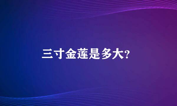 三寸金莲是多大？