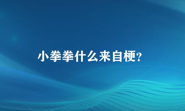 小拳拳什么来自梗？