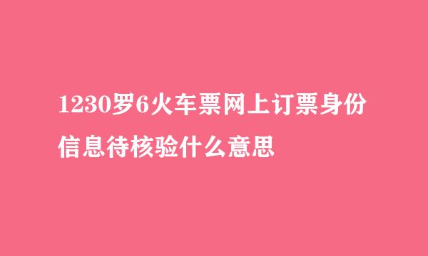 1230罗6火车票网上订票身份信息待核验什么意思