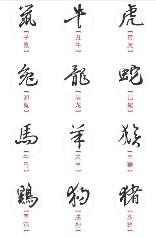 十全十美的成语,猜是哪一个生肖呢？