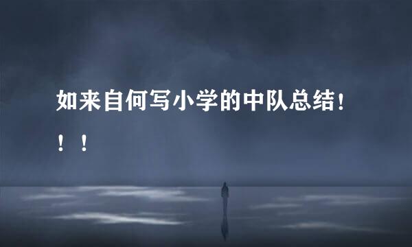 如来自何写小学的中队总结！！！