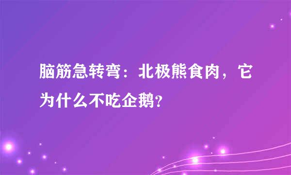 脑筋急转弯：北极熊食肉，它为什么不吃企鹅？