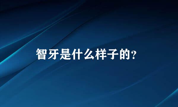 智牙是什么样子的？