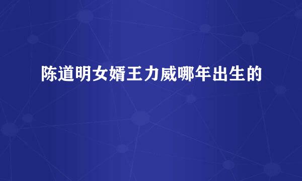 陈道明女婿王力威哪年出生的