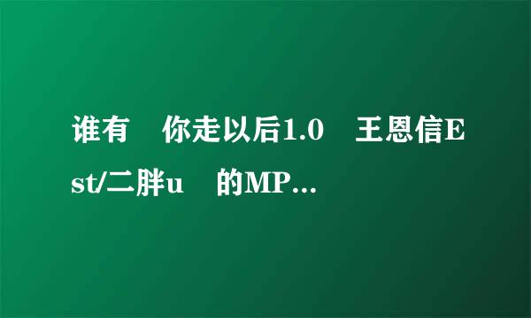 谁有 你走以后1.0 王恩信Est/二胖u 的MP3格式歌曲，有的话直接发，不要回答有，谢谢！