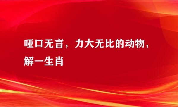 哑口无言，力大无比的动物，解一生肖