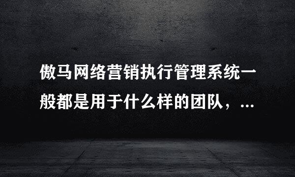 傲马网络营销执行管理系统一般都是用于什么样的团队，团队的一个架构是怎样的