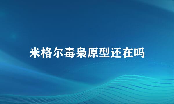 米格尔毒枭原型还在吗