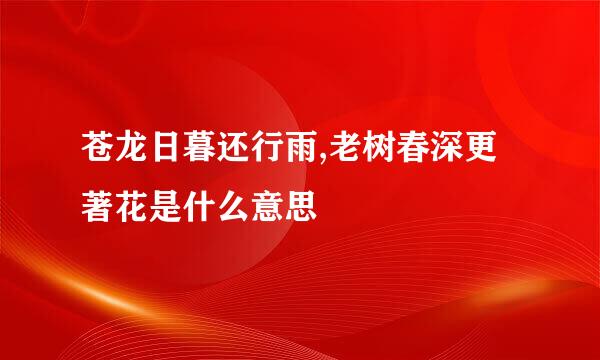 苍龙日暮还行雨,老树春深更著花是什么意思