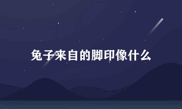 兔子来自的脚印像什么