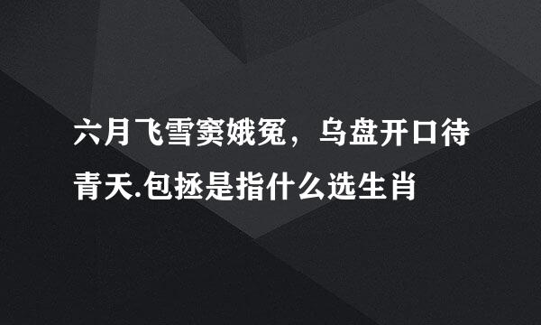 六月飞雪窦娥冤，乌盘开口待青天.包拯是指什么选生肖