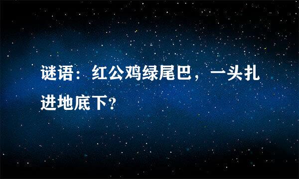 谜语：红公鸡绿尾巴，一头扎进地底下？