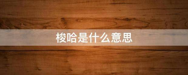 梭哈是来自什么意思