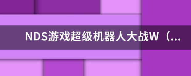 NDS游戏超级机器人大战W（来自机战W）怎么用金手指？或者什么补丁