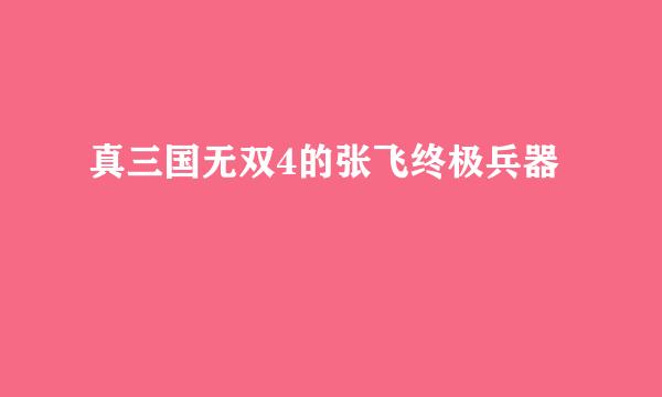 真三国无双4的张飞终极兵器