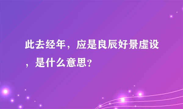 此去经年，应是良辰好景虚设，是什么意思？