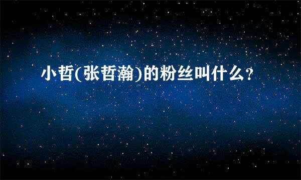 小哲(张哲瀚)的粉丝叫什么？