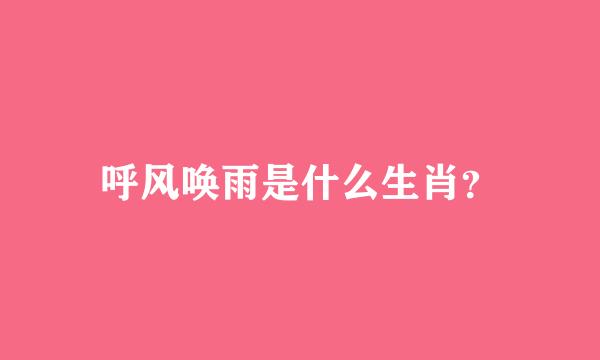 呼风唤雨是什么生肖？