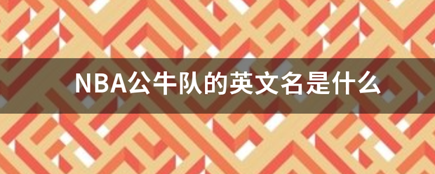 NBA公牛队的英文名是什么