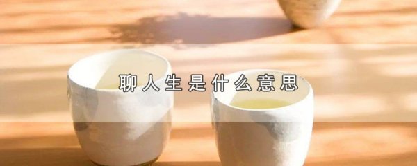 聊人生是什么意思