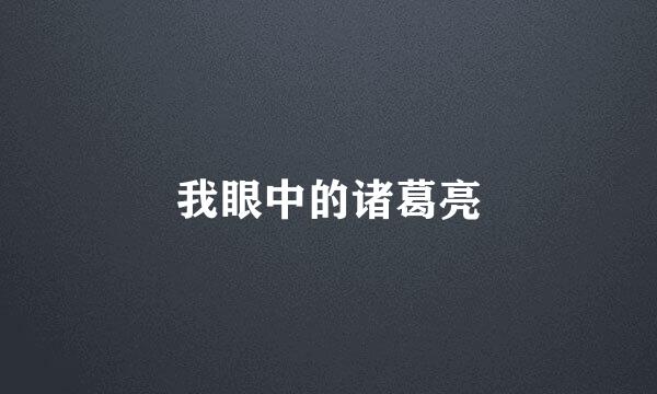 我眼中的诸葛亮