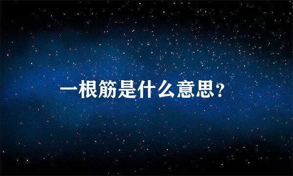 一根筋是什么意思？
