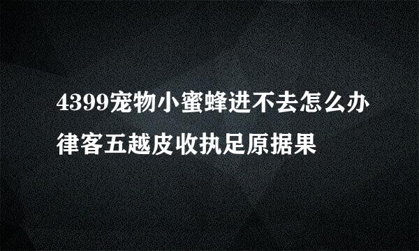 4399宠物小蜜蜂进不去怎么办律客五越皮收执足原据果