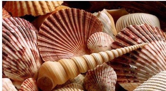 三亚哪些地方卖特产