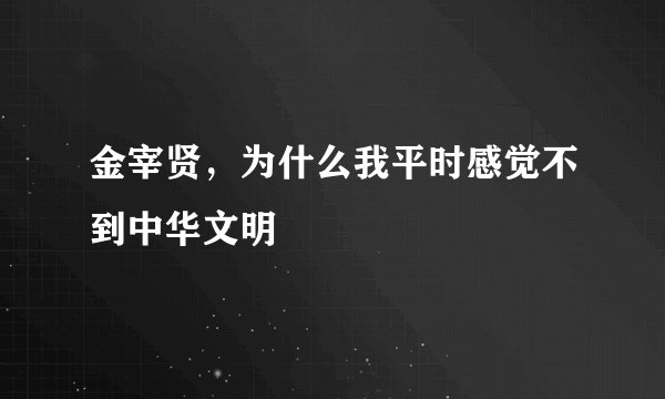 金宰贤，为什么我平时感觉不到中华文明