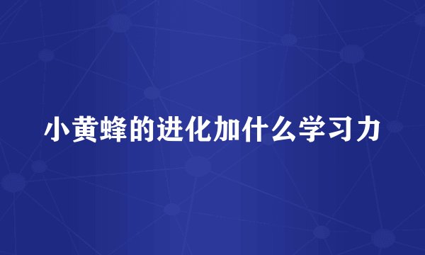 小黄蜂的进化加什么学习力