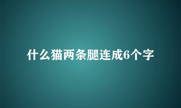 什么猫两条腿连成6个字