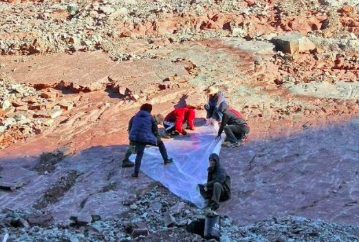 中国在四川发现的最大恐龙足迹点有多少足迹？