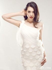 杨紫主演的电视剧有哪些？宁丹琳主演的电视剧有哪些？