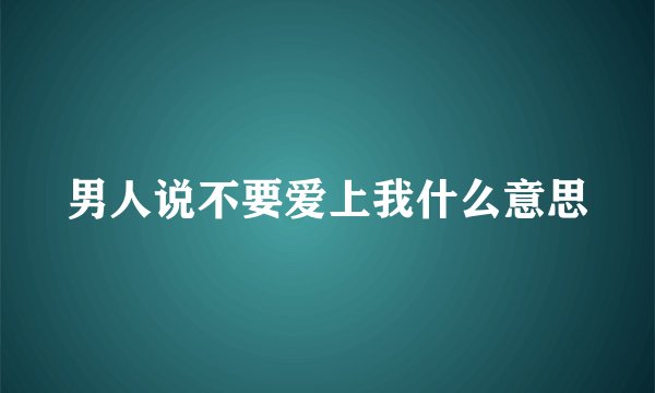 男人说不要爱上我什么意思
