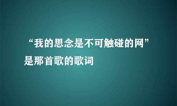 “我的思念是不可触碰的网”是那首歌的歌词