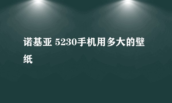 诺基亚 5230手机用多大的壁纸