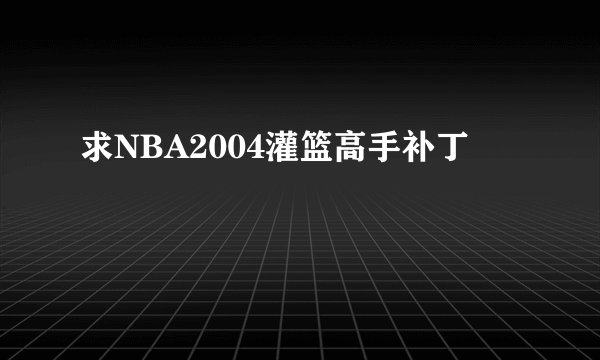 求NBA2004灌篮高手补丁