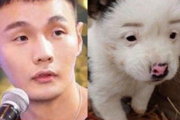 李荣浩：我居然会对生物界有所贡献，人与动物撞脸是纯属巧合吗？